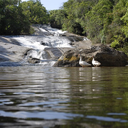 Socorro – SP